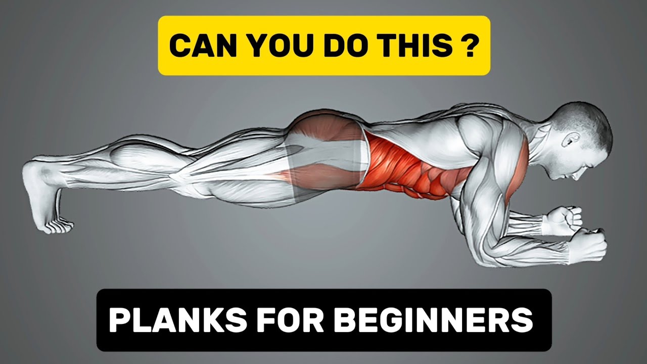 First Plank I Tried Planks for the First Time as a Beginner 😳 | Beginner Plank ...