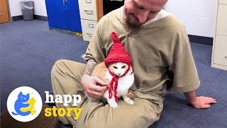 Prisoners and Rescue Cats Heal Each Other Behind Prison Walls | HAPP