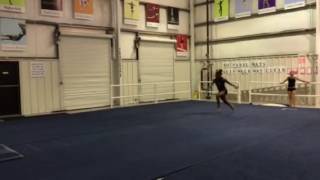 double arabian progress