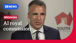 SA launches royal commission into artificial intelligence | ABC NEWS