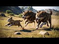 Two Aggressive Brown Wolves Chase Down a Cat — Insane Wildlife Chase!