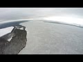 Черный лес. Харьковская область Печенежское водохранилище. 4к