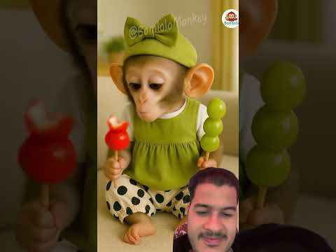 Monkey funny smile #monkey #funny #cute #comedy #funnyanimals #strawberry #cutemonkey #tanghulu