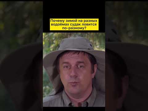 Было полезно?