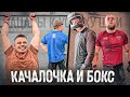 БОКС - ПРОВЕРКА НА ПРОЧНОСТЬ НА РИНГЕ И ТУРНИКЕ