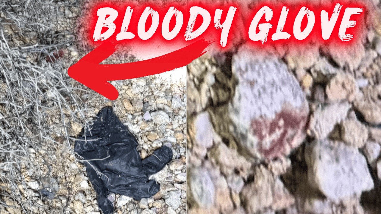 NEW info: Bloody Gloves Found Less Than a Mile From Nancy Guthrie’s Home