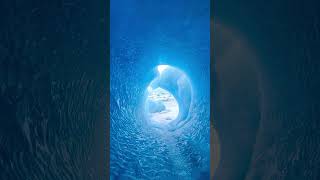 Unique Experience of an Ice Caving Expedition