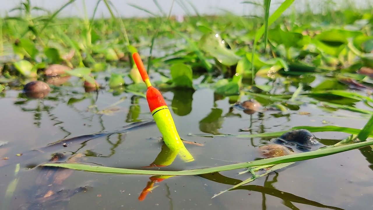 Float fishing for catfish YouTube