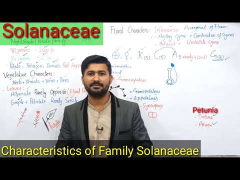 Family Solanaceae | General Characters, economical importance of Family Solanaceae | Irtisamsbiology