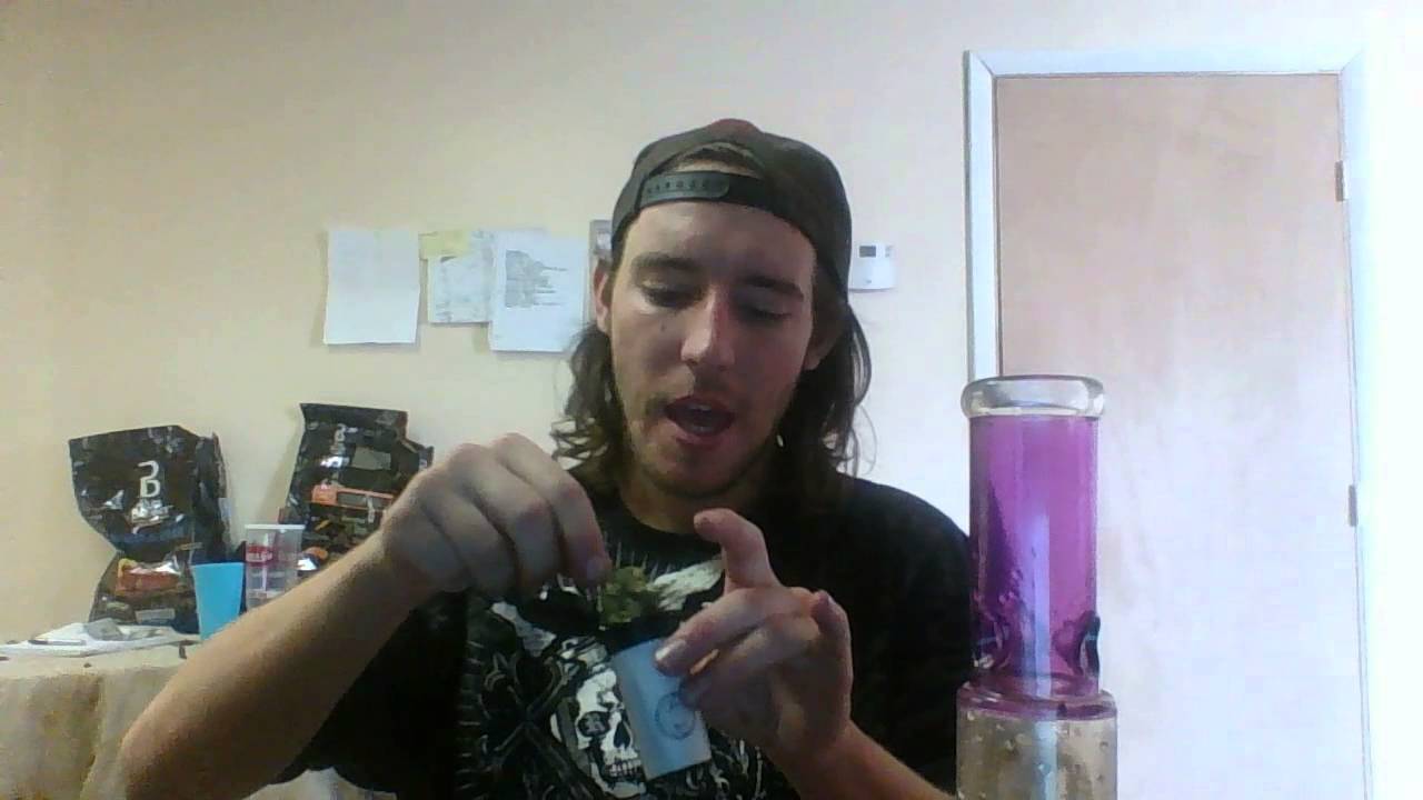 strain review fruit salad