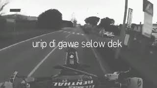 Urip digawe slow dek..... Story wa keren