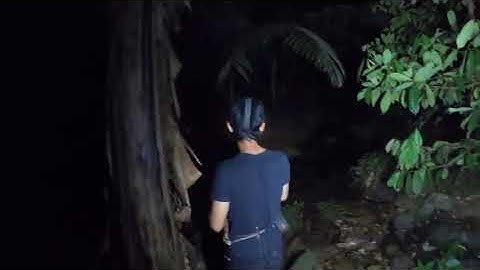 #30. Phiêu Lưu Trong Rừng, Cuộc Sống Tự Nhiên