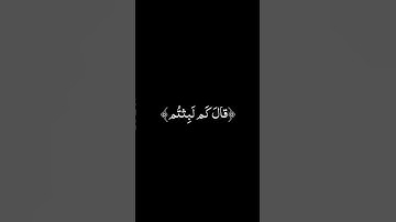 ﴿قالَ كَم لَبِثتُم فِي الأَرضِ عَدَدَ سِنينَ﴾سورة المؤمنون| إسلام صبحي