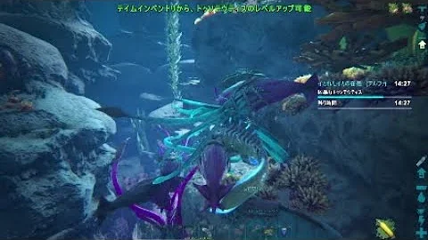 アークイカ