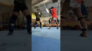 2023032602 toellgym.com