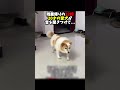 20年変わらないお出迎えをありがとう