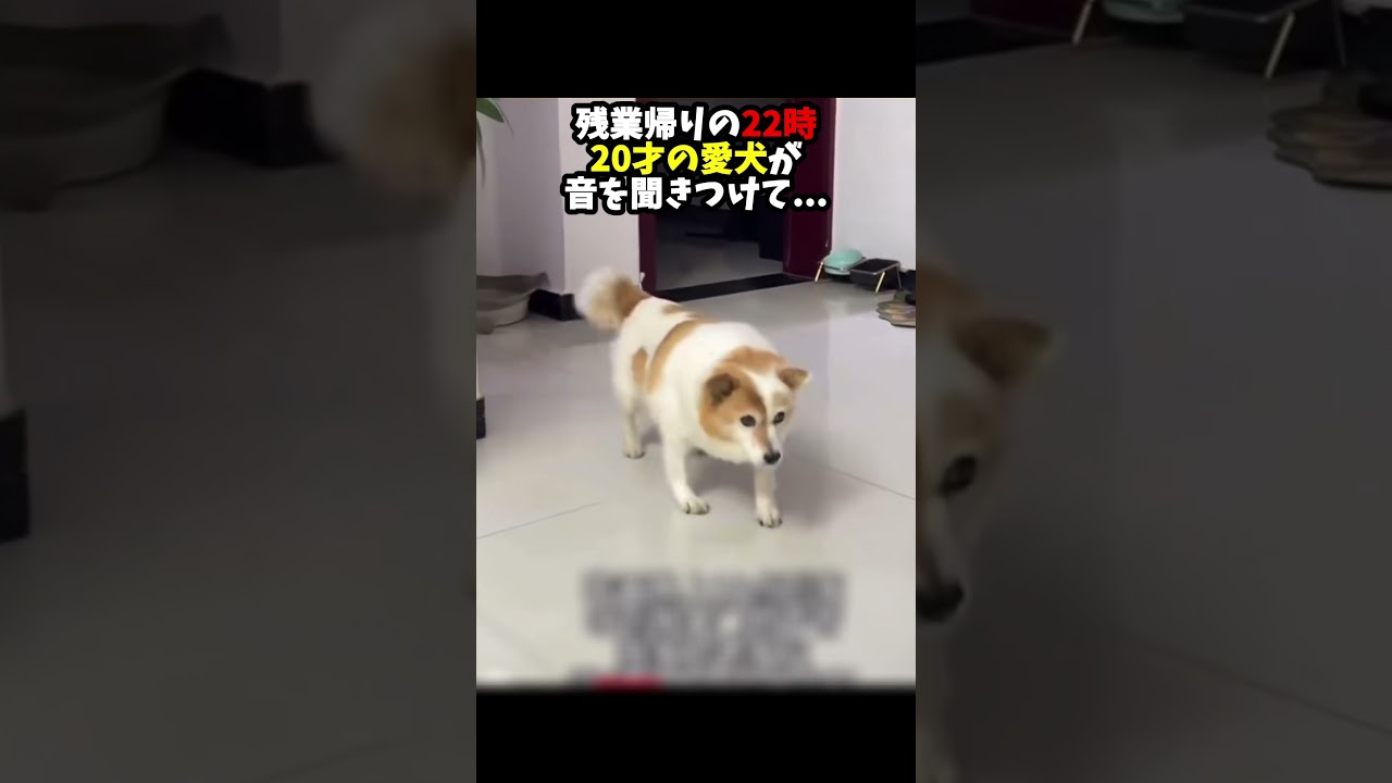 20年変わらないお出迎えをありがとう