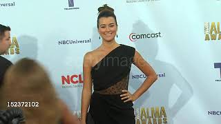 #CotedePablo #ZivaDavid #NCIS #TVStars #CelebrityNews #FanChannel #TVSeries #Subscribe #Trending