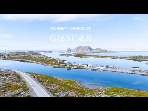 Puffins, Seal & Sea Eagles at the Edge of Norway | Gjesvær, Nordkapp