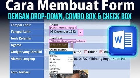 Cara Membuat Menu Drop Down dan Check Box di Word