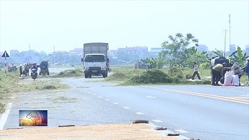 Giao thông 24h: Nguy cơ tai nạn, cháy xe vì phơi thóc, rơm rạ lấn chiếm lòng đường