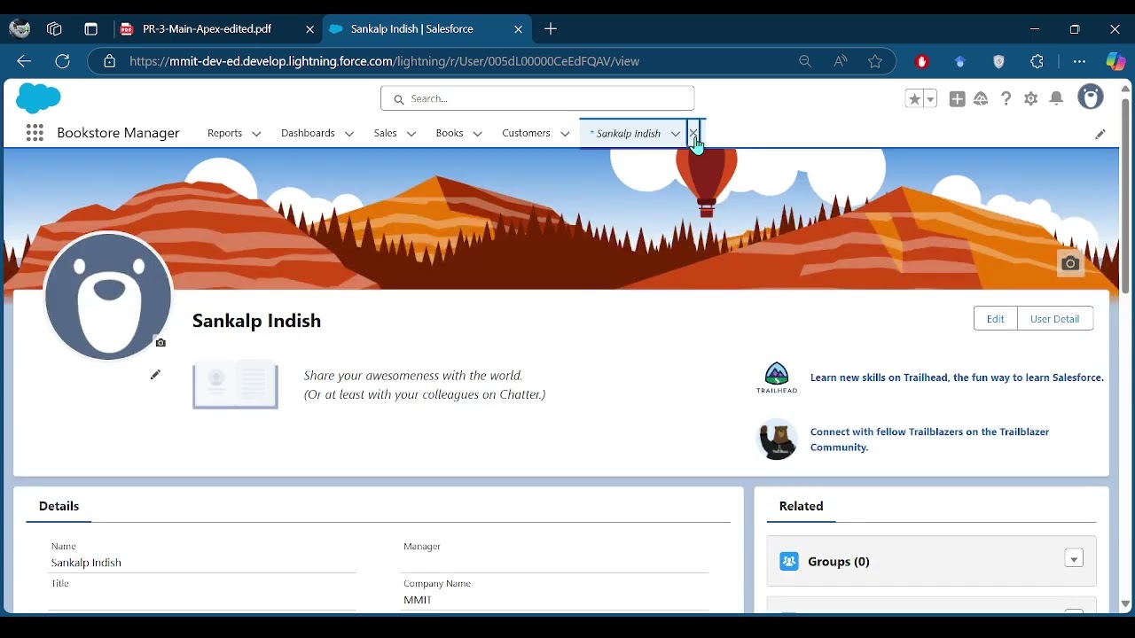 Creating an Application in SalesForce.com using Apex programming Language