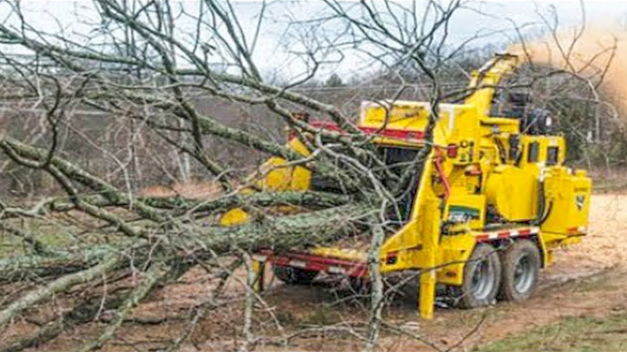 Dangerous Powerful Wood Chipper Machines in Action - Fastest Tree ...