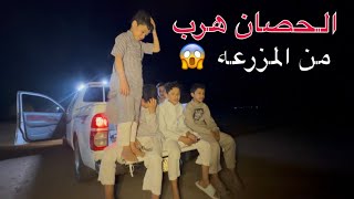 الحصان 🐎هرب من المزرعه بليل 😰🔥
