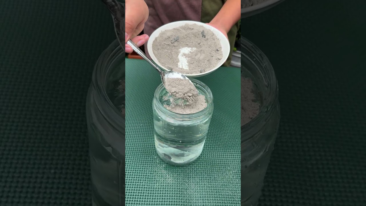 Como usar la ceniza como abono casero para plantas #shorts