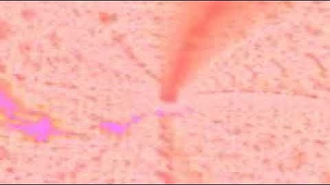 سورة طه بصوت الشيخ القارئ سعود الشريم