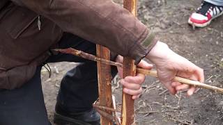 Satakuntalainen Riukuaita