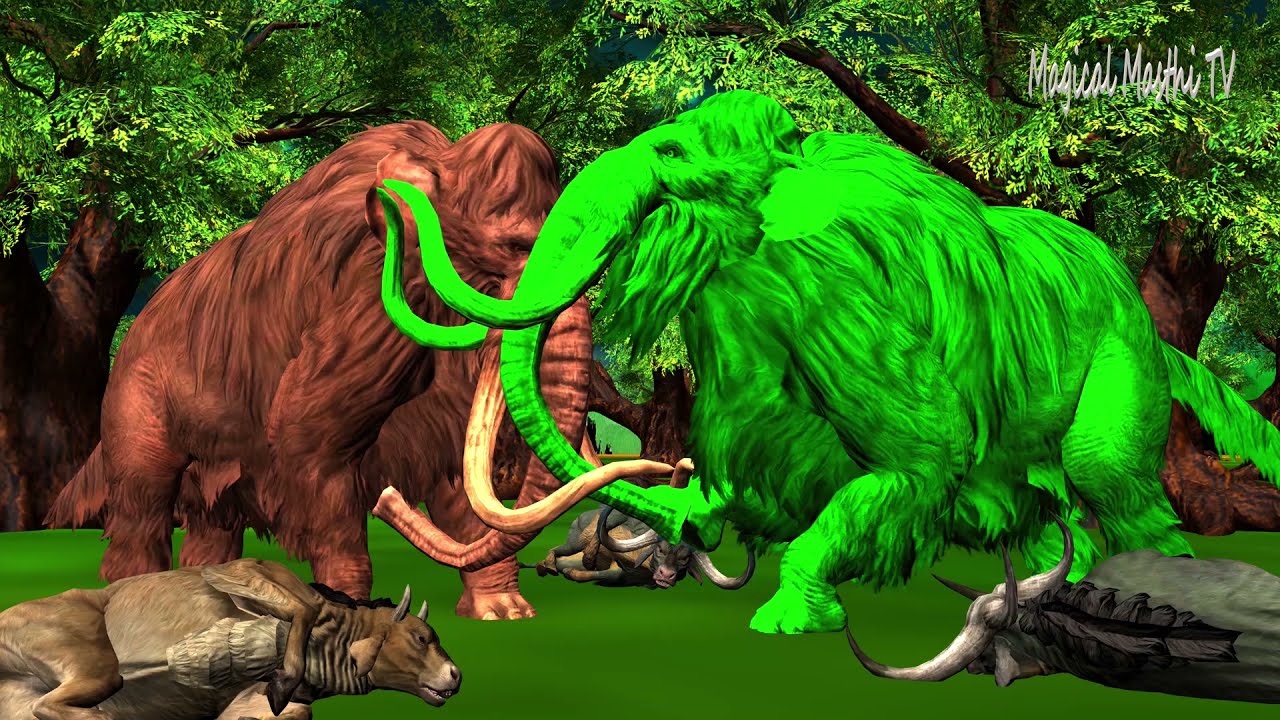 Woolly Mammoth Elephant vs Zombie Mammoth Epic Battle for Territory Bull Fighting Team Wild Animals