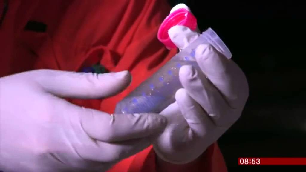 Boulby Underground Laboratory & BISAL