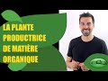 COURS DE TERMINALE SPÉCIALITÉ SVT CHAP.9: LA PLANTE PRODUCTRICE DE MATIÈRE ORGANIQUE - Bio Logique-