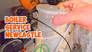 Cleaning Condensate Trap on a Boiler Service in Newcastle | Ideal Logic Max Combi C30