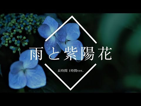【フリーBGM】雨と紫陽花 1時間版【ピアノソロ/作業用BGM】