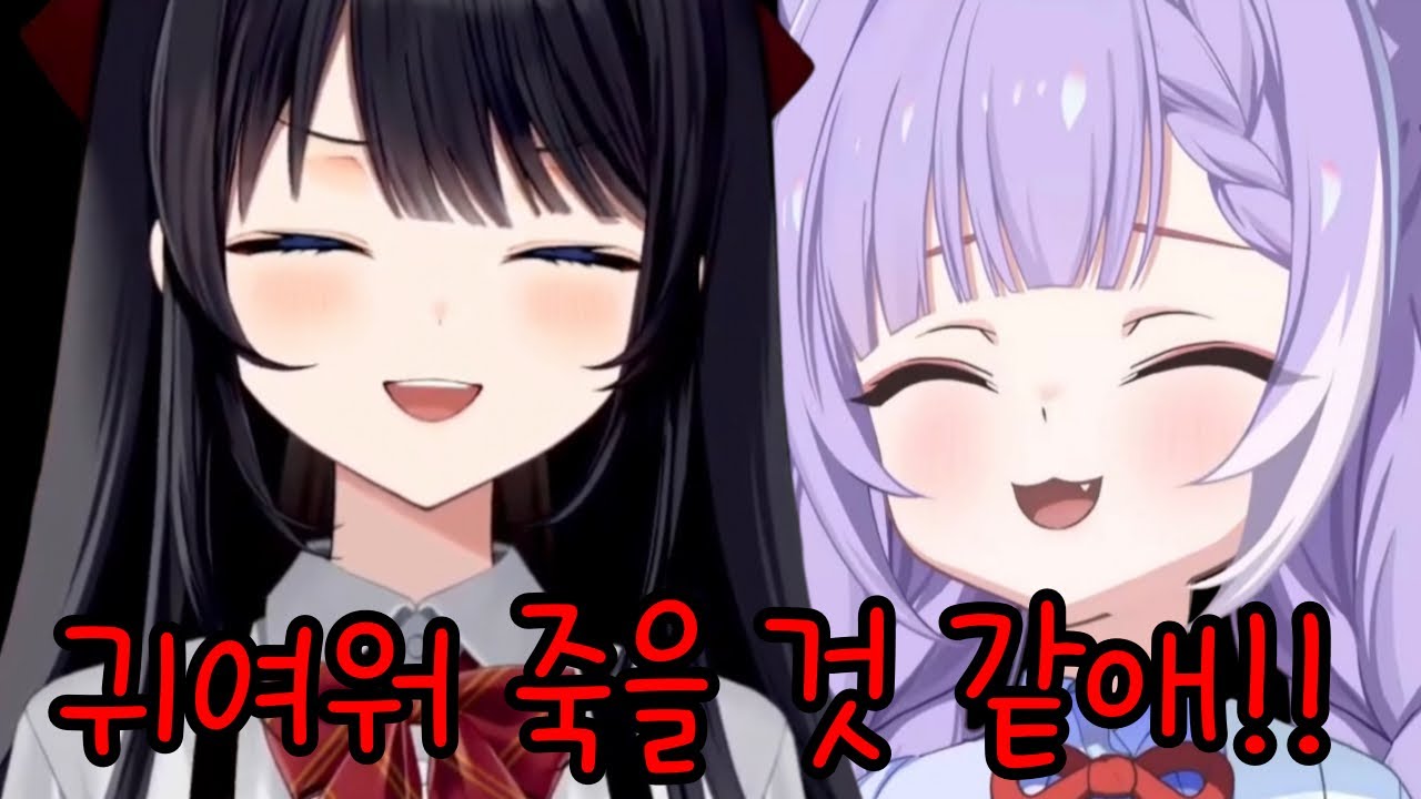 비방에서 시로 뮤지컬 보면서 단체로 덕질한 부키와 멤버들