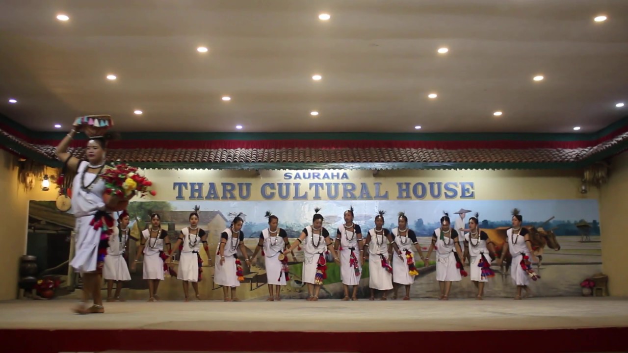 Tharu Cultural Dance || Song || Chitwan National Park || Nepal || Chitwan || Travel Nepal