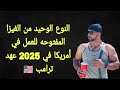 فيزا العماله البسيطه الجديده للعمل في امريكا 2025 فيزا العماله البسيطه الجديده للعمل في امريكا 2025