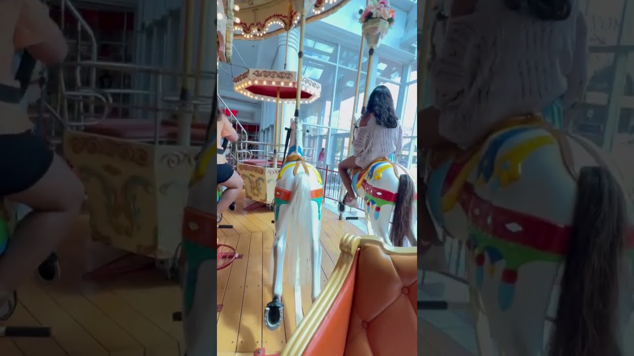 Riding on the carousel at the mall one last time in mall in Downtown Rochester, NY.