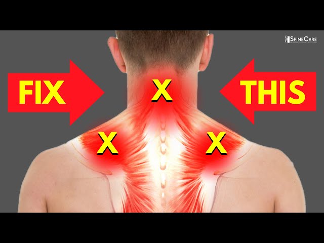 Neck Shoulder Tension Relief Tutorial｜TikTok Search