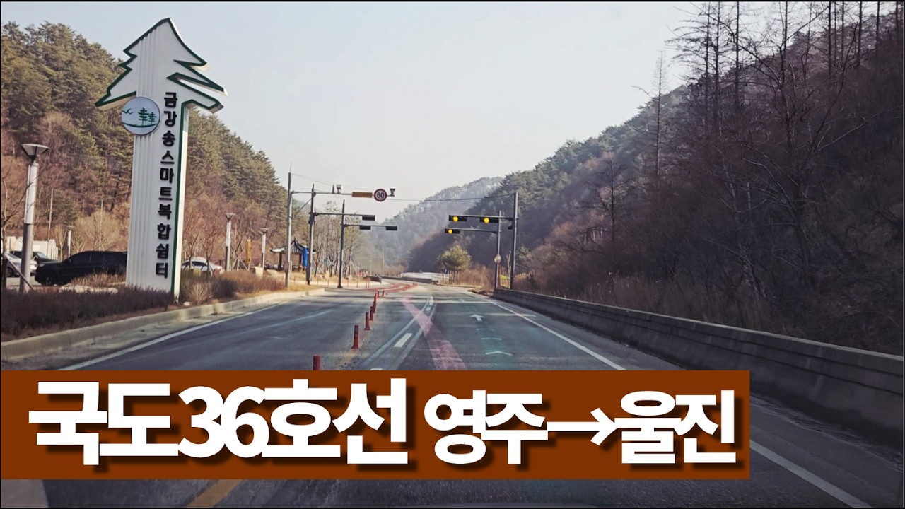 🎶 영주→울진 국도36호선 도로 주행영상
