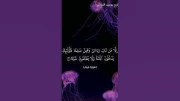 القارئ يوسف القيسي
