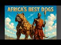 The 5 Best African Dog Breeds — Strong, Loyal & Rare