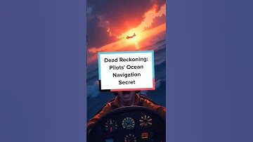 Dead Reckoning: Pilots