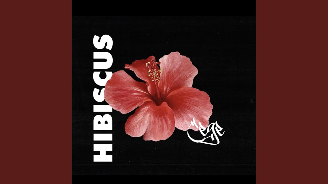 Watch HIBISCUS on YouTube Watch HIBISCUS on YouTube