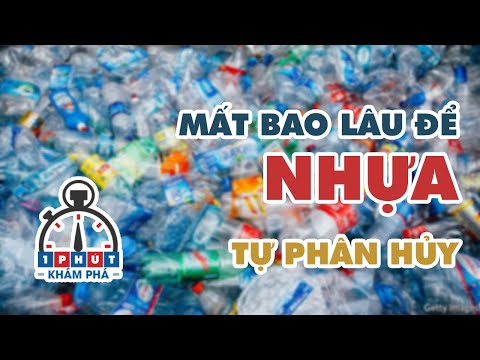 Video: Làm thế nào để làm cho một ban nhạc bụng cho chó