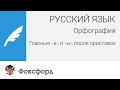 Русский язык. Орфография: Гласные -и- и -ы- после приставок. Центр онлайн-обучения «Фоксфорд»