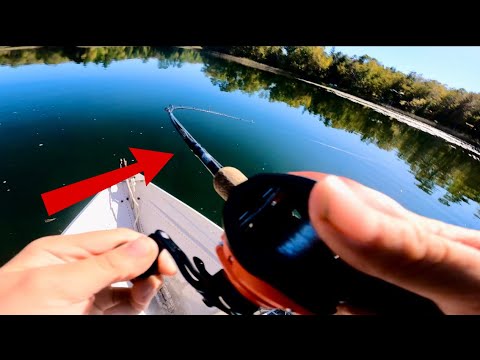 Fishing vlog pt 2 (New PB)