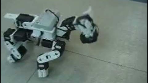 Gilbo & Robotis - Bioloid Comprehensive Kit - Oyuncu Köpek www.robotsepeti.com www.gilbo.com.tr